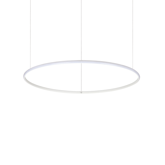 HULAHOOP_SP_D081