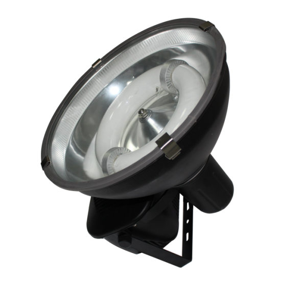 PROIECTOR CU INDUCTIE 150W PROIECTOR CU INDUCTIE 150W