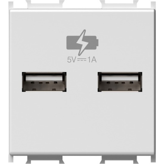 Modul Încarcator  2*USB 5V 12A 2M alb